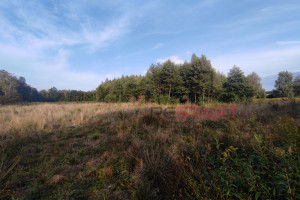 Działka na sprzedaż 1920m2 żyrardowski Radziejowice Benenard - zdjęcie 3