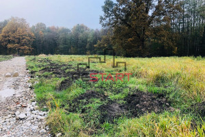 Działka na sprzedaż 4173m2 żyrardowski Radziejowice Adamów-Wieś Dobiegały - zdjęcie 1