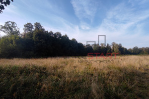 Działka na sprzedaż 1920m2 żyrardowski Radziejowice Benenard - zdjęcie 2