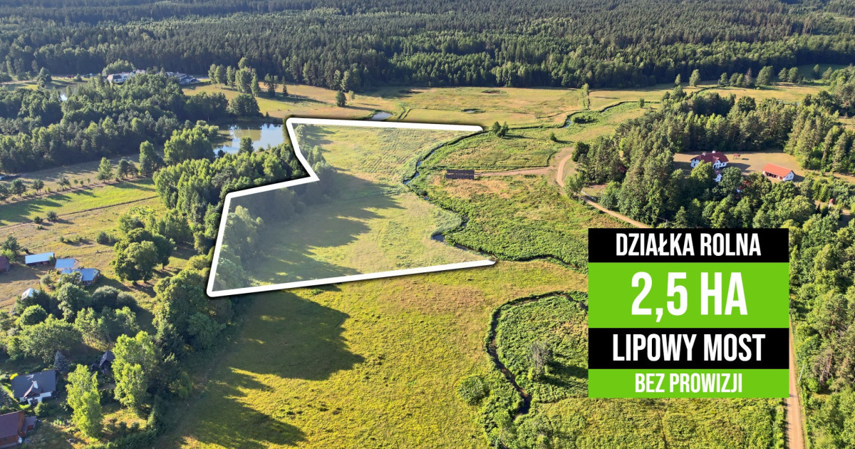 2,5 ha / Urokliwa Działka Rolna / LIPOWY MOST