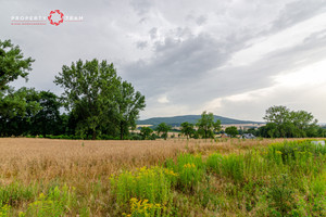 Działka na sprzedaż 2713m2 świdnicki Marcinowice Tąpadła - zdjęcie 2