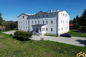Mieszkanie do wynajęcia 25m2 lubański Olszyna - zdjęcie 2