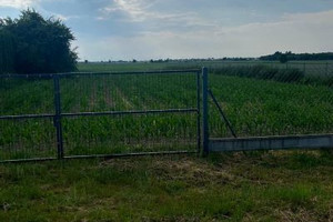 Działka na sprzedaż 2900m2 łęczyński Puchaczów Brzeziny - zdjęcie 1