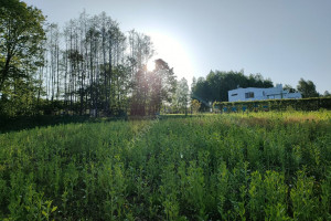 Działka na sprzedaż 8240m2 rzeszowski Chmielnik - zdjęcie 3