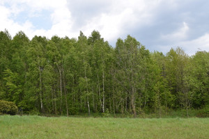 Działka na sprzedaż 2600m2 przeworski Jawornik Polski Hucisko Jawornickie - zdjęcie 1