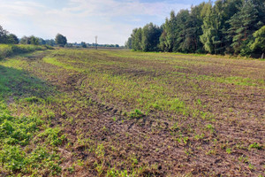 Działka na sprzedaż 5415m2 bieruńsko-lędziński Chełm Śląski Głogowa - zdjęcie 1