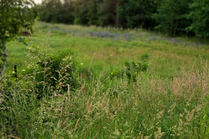 Działka na sprzedaż 775m2 bieruńsko-lędziński Bieruń Skowronków - zdjęcie 1