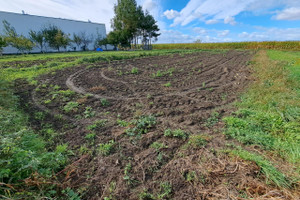 Działka na sprzedaż 475m2 Siemianowice Śląskie Poranna - zdjęcie 1