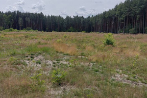 Działka na sprzedaż 1180m2 stalowowolski Pysznica Jastkowice Zaonie - zdjęcie 1