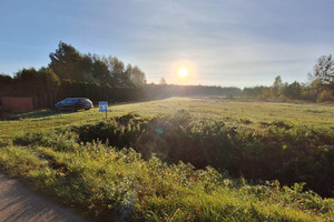 Działka na sprzedaż 5000m2 stalowowolski Bojanów Stany - zdjęcie 1