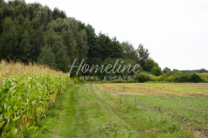 Działka na sprzedaż 1030m2 trzebnicki Trzebnica - zdjęcie 1