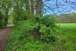 Działka na sprzedaż warszawski zachodni Kampinos Spółdzielców - zdjęcie 1