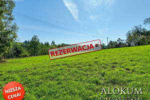 Działka na sprzedaż 2000m2 wielicki Wieliczka - zdjęcie 1