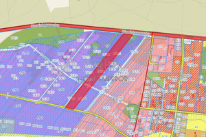 Działka na sprzedaż 28500m2 miński Halinów Okuniew Stanisławowska - zdjęcie 1