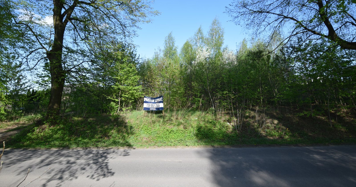 Pólko/ aleja lipowa/ 1800m2