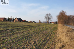 Działka na sprzedaż krakowski Kocmyrzów-Luborzyca Wilków - zdjęcie 2