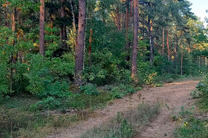 Działka na sprzedaż węgrowski Stoczek Stare Lipki - zdjęcie 1