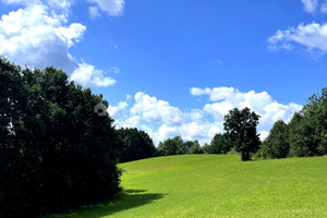 Działka na sprzedaż 81500m2 kartuski Chmielno Nad Stawem - zdjęcie 3