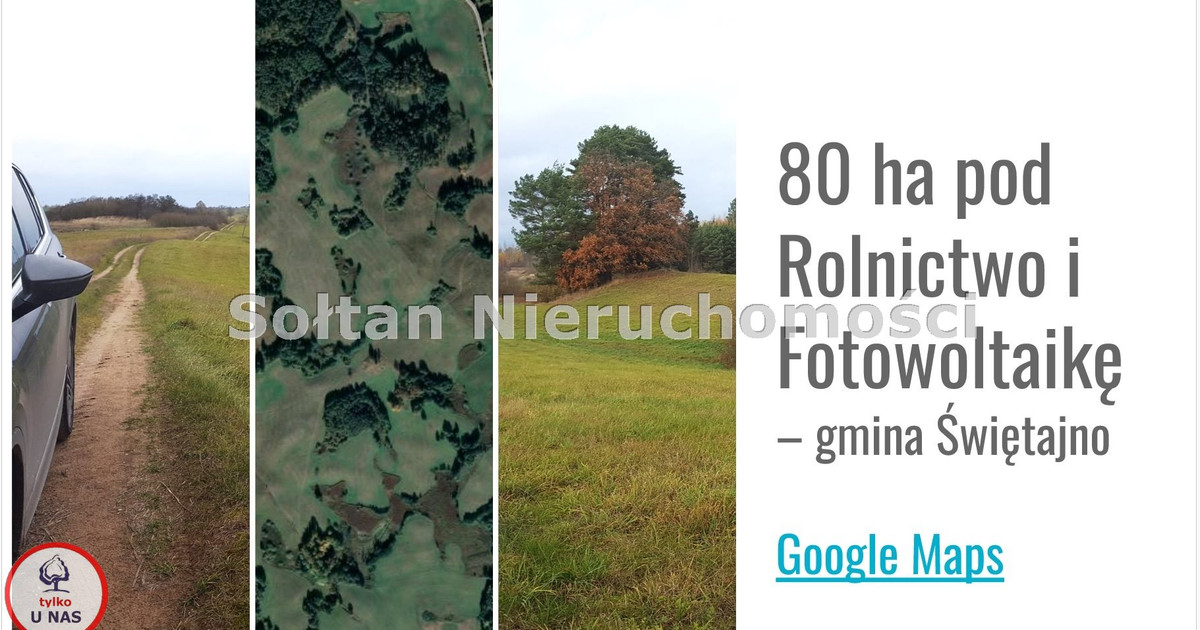 80 ha pod Hodowlę i Fotowoltaikę gmina Świętajno