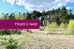 Działka na sprzedaż 32300m2 piaseczyński Góra Kalwaria Dobiesz - zdjęcie 3