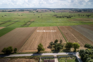 Działka na sprzedaż 7500m2 jędrzejowski Sędziszów Podsadek - zdjęcie 2