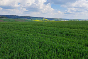 Działka na sprzedaż 6400m2 krakowski Skała Przybysławice - zdjęcie 1