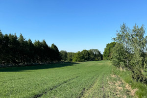 Działka na sprzedaż mikołowski Łaziska Górne - zdjęcie 1