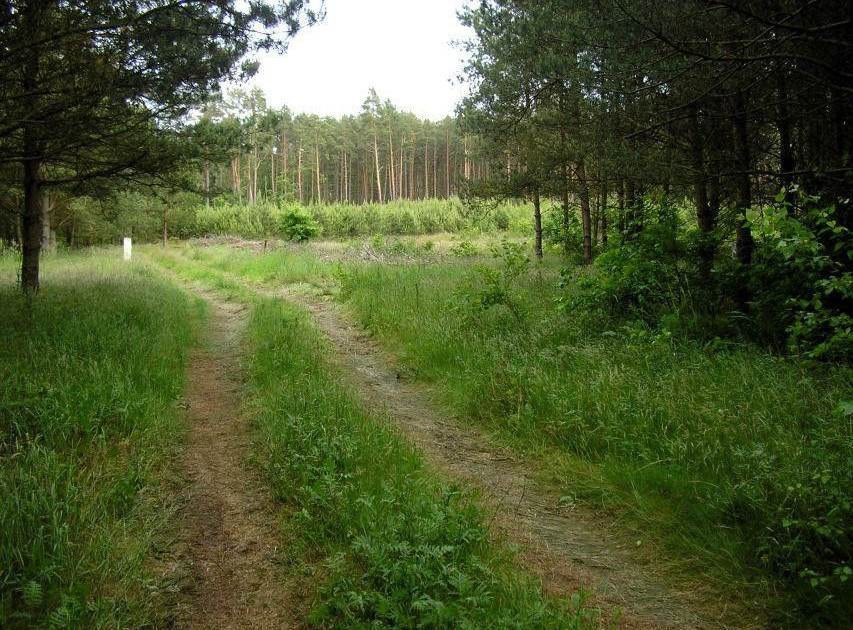 Urokliwa działka rekreacyjno-budowlana, Gostyniec