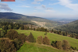 Działka na sprzedaż kamiennogórski Kamienna Góra Ogorzelec - zdjęcie 1