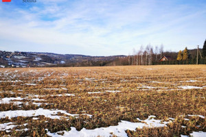 Działka na sprzedaż 1000m2 wielicki Wieliczka Dobranowice - zdjęcie 3