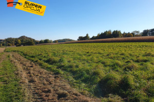 Działka na sprzedaż 9593m2 krakowski Jerzmanowice-Przeginia Jerzmanowice - zdjęcie 1