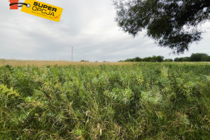 Działka na sprzedaż 3000m2 krakowski Wielka Wieś Wierzchowie - zdjęcie 1