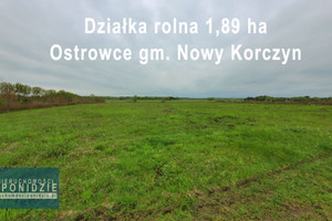 Działka na sprzedaż buski Nowy Korczyn Ostrowce - zdjęcie 1