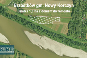 Działka na sprzedaż 18000m2 buski Nowy Korczyn Brzostków - zdjęcie 2