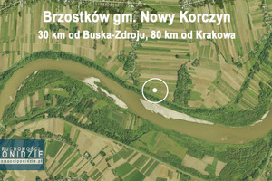 Działka na sprzedaż 18000m2 buski Nowy Korczyn Brzostków - zdjęcie 1