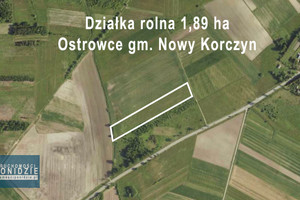 Działka na sprzedaż 18900m2 buski Nowy Korczyn Ostrowce - zdjęcie 2