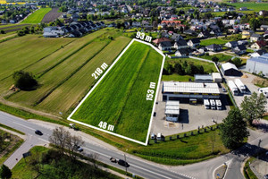 Działka na sprzedaż 8700m2 tarnogórski Tarnowskie Góry Opatowice Zagórska - zdjęcie 1