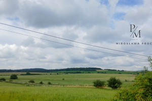 Działka na sprzedaż 13000m2 dzierżoniowski Łagiewniki Przystronie - zdjęcie 1