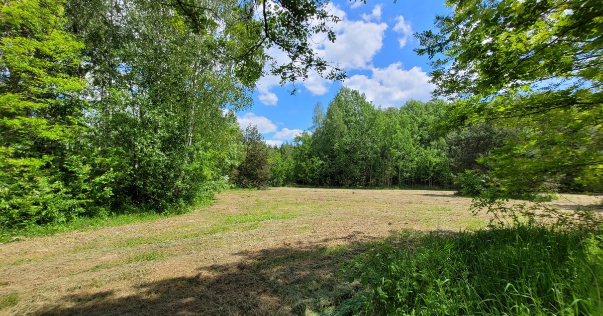 DUŻA DZIAŁKA Z MPZP