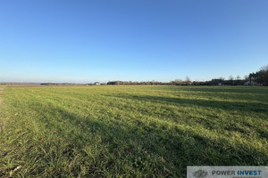 Działka na sprzedaż 9700m2 żyrardowski Mszczonów Powązki - zdjęcie 1