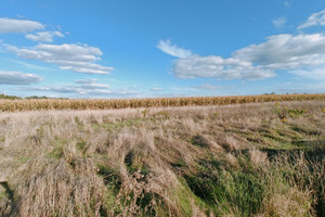 Działka na sprzedaż 805m2 mikołowski Orzesze Złota - zdjęcie 1