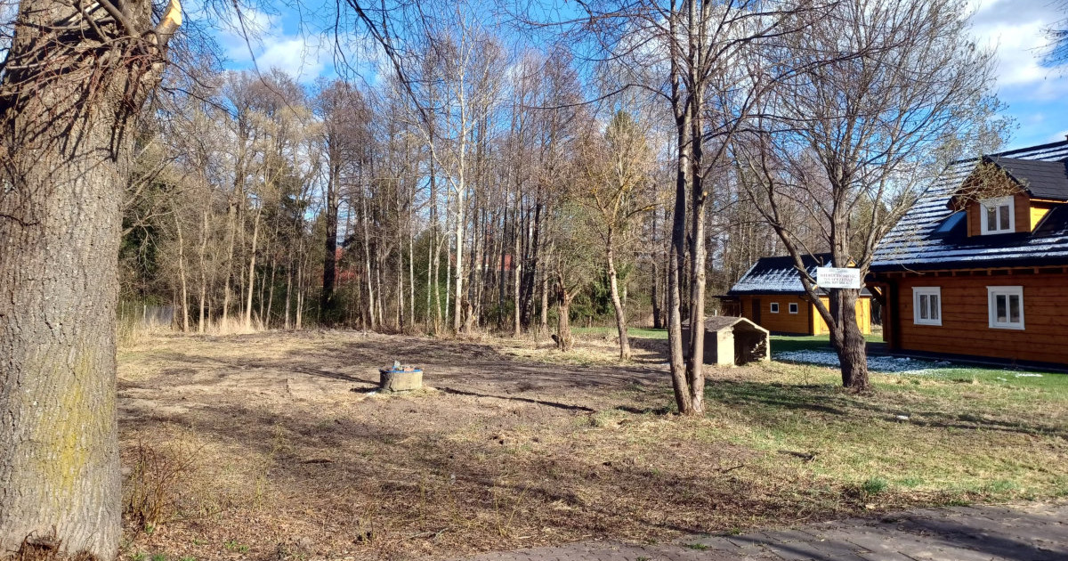 Działki pod zabudowę mieszkaniową w Białowieży