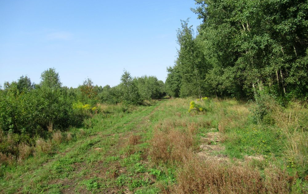Inwestycyjna działka ok. 1 ha przy ul. Folwarcznej w Kielcach
