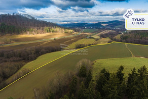 Działka na sprzedaż kłodzki Kłodzko Żelazno - zdjęcie 1