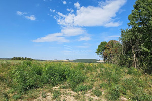 Działka na sprzedaż 11100m2 miechowski Racławice - zdjęcie 1