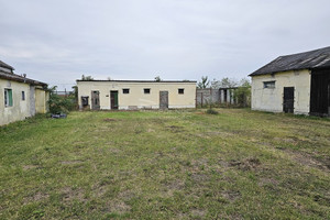 Dom na sprzedaż 60m2 radziejowski Bytoń Pścinno - zdjęcie 3