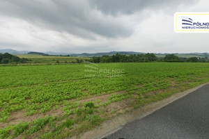 Działka na sprzedaż 40900m2 dolnośląskie kłodzki Kłodzko - zdjęcie 1