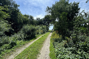 Działka na sprzedaż 11200m2 lubelski Konopnica - zdjęcie 2