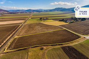 Działka na sprzedaż 7300m2 kłodzki Kłodzko Żelazno - zdjęcie 1