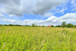 Działka na sprzedaż 2100m2 wrocławski Długołęka Bielawa Zawilcowa - zdjęcie 1